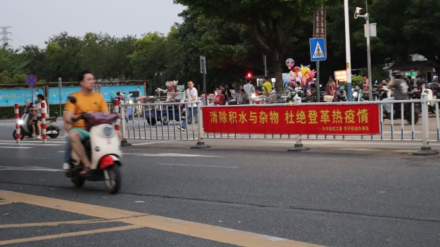 面对虫媒威胁的焦虑:从管理升级看科学守护指南 健康养生