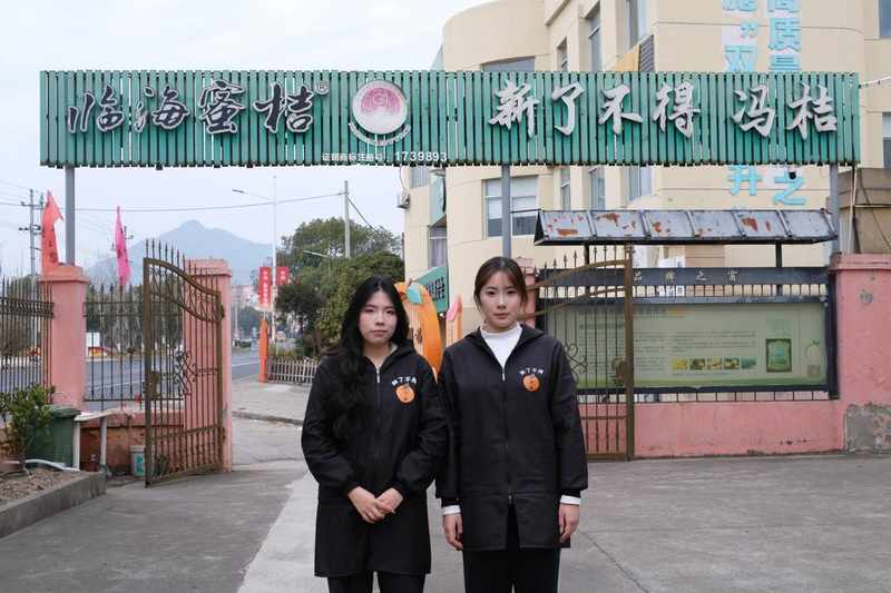 深层揭秘:高校学子如何重塑百年果园的数字化商业版图 企业服务