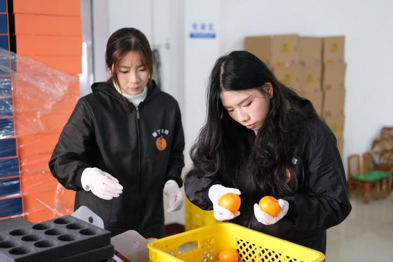 深层揭秘:高校学子如何重塑百年果园的数字化商业版图 企业服务