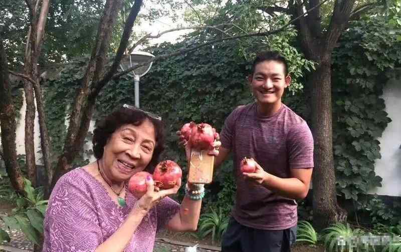 艺术基因与跨界抉择:马羚三十年来多维蜕变的方法论 影视小说