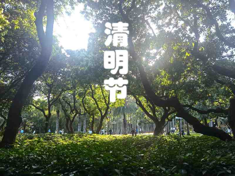 【深度解析】从分子层面拆解清明食俗:艾草碱液反应与糯米支链淀粉的养生密码 新闻 【深度解析】从分子层面拆解清明食俗:艾草碱液反应与糯米支链淀粉的养生密码 新闻
