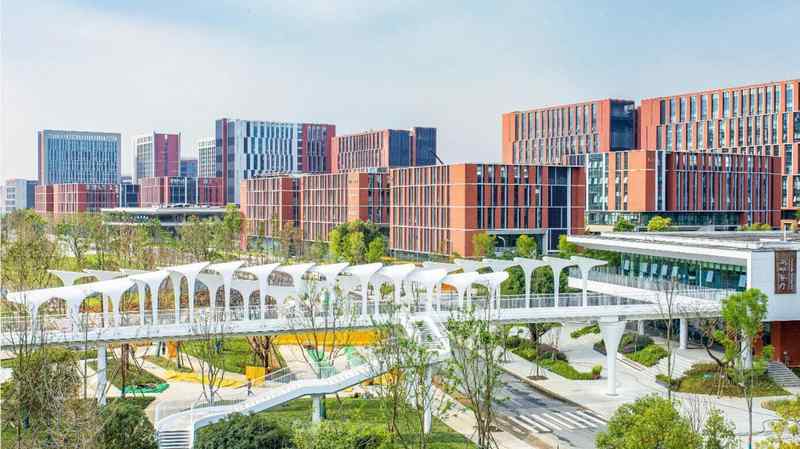 从诺贝尔奖到临床落地:iPS细胞技术如何撬开帕金森与心衰的治愈之门 新闻 从诺贝尔奖到临床落地:iPS细胞技术如何撬开帕金森与心衰的治愈之门 新闻