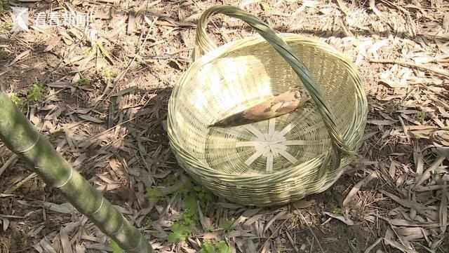 景区安全保障责任边界:从竹笋戳穿鼻腔案看法律如何划定责任红线 新闻 景区安全保障责任边界:从竹笋戳穿鼻腔案看法律如何划定责任红线 新闻 景区安全保障责任边界:从竹笋戳穿鼻腔案看法律如何划定责任红线 新闻 景区安全保障责任边界:从竹笋戳穿鼻腔案看法律如何划定责任红线 新闻