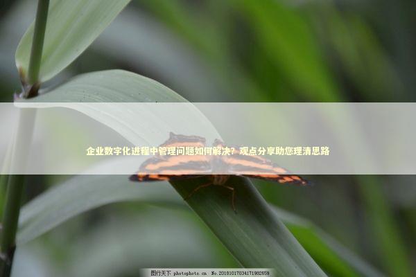 企业数字化进程中管理问题如何解决？观点分享助您理清思路