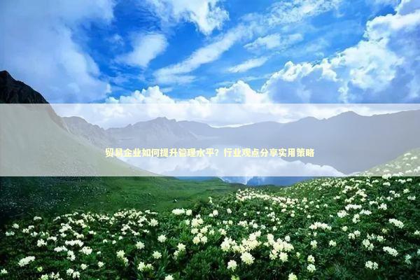 贸易企业如何提升管理水平？行业观点分享实用策略