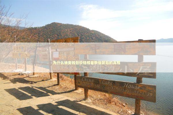 为什么迪奥钱包价格相差数倍背后的真相
