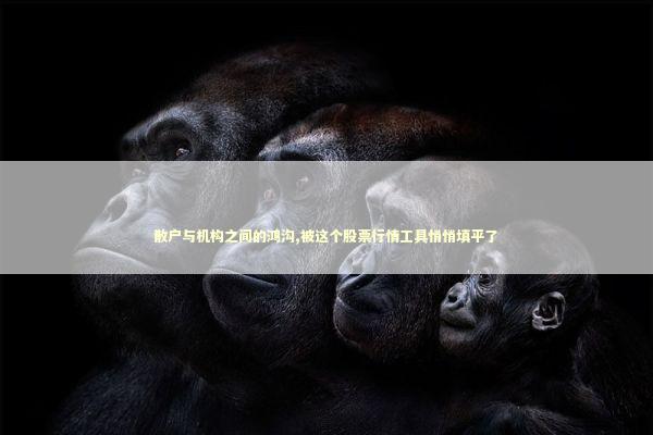散户与机构之间的鸿沟,被这个股票行情工具悄悄填平了